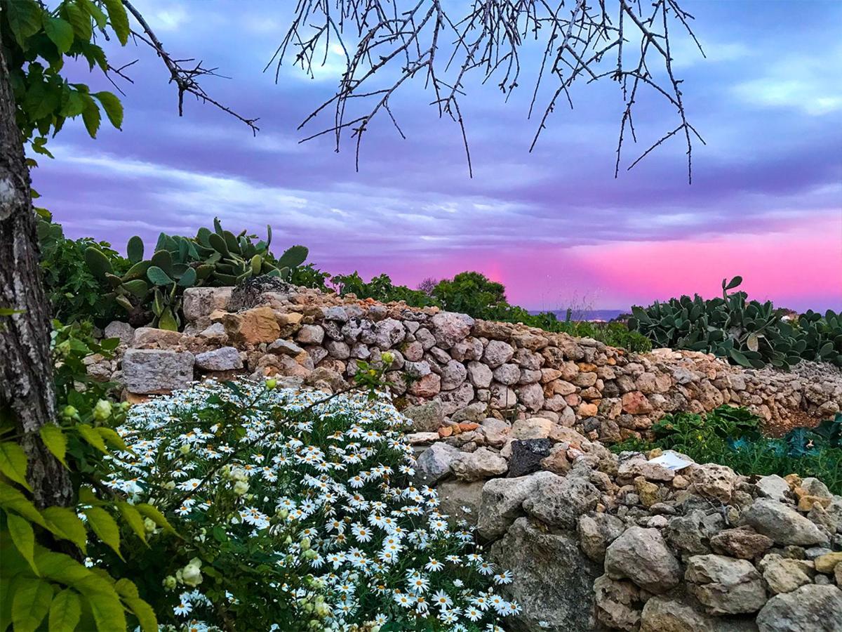 Accommodatie bij particulieren L'gharix Temple Retreat